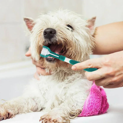 3-Sided Pet Toothbrush for Dogs and Cats – Deep Cleaning Dental Care