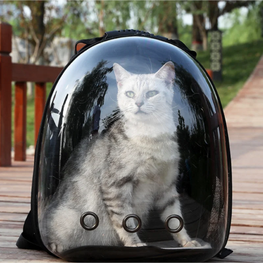 Transparent Space Capsule Cat Backpack – Breathable and Portable Travel Bag